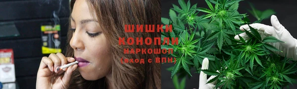 PSILOCYBIN Грязи