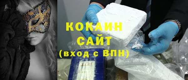 индика Губаха