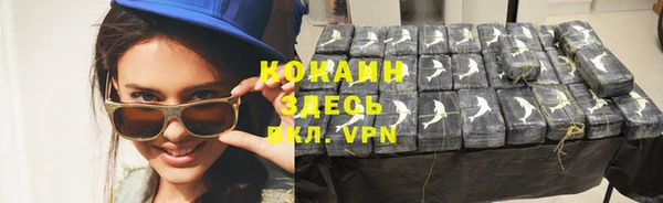 PSILOCYBIN Грязи