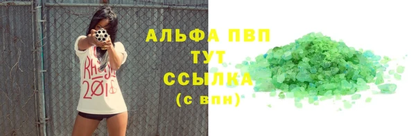 индика Губаха