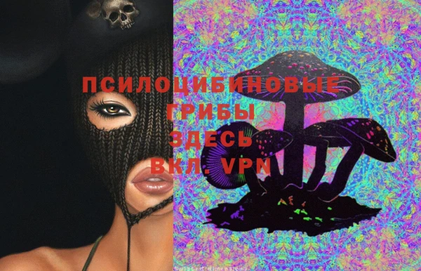 прущие грибы Дмитровск