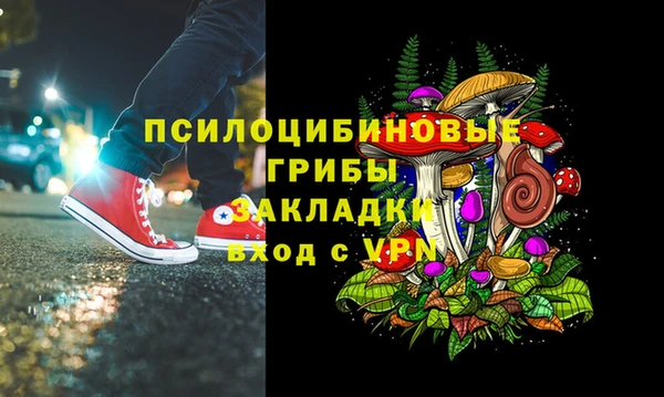 метадон Дмитриев