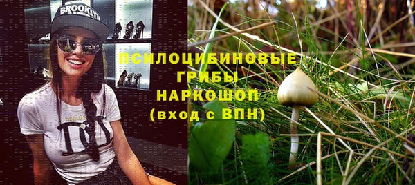 винт Грязовец