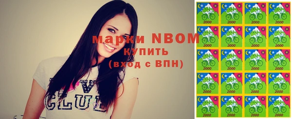 прущие грибы Дмитровск