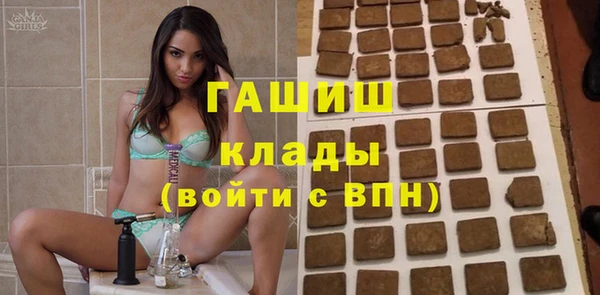 прущие грибы Дмитровск